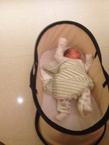 Closeup of the portable bassinet