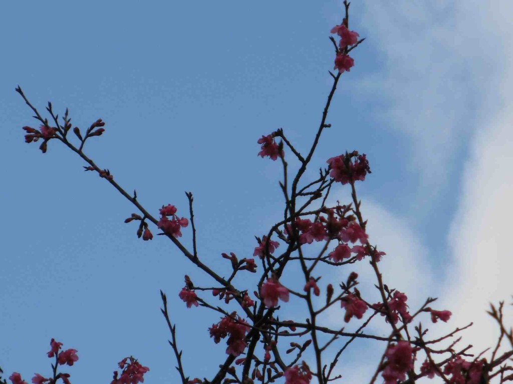 Shimen Reservoir 10-sm