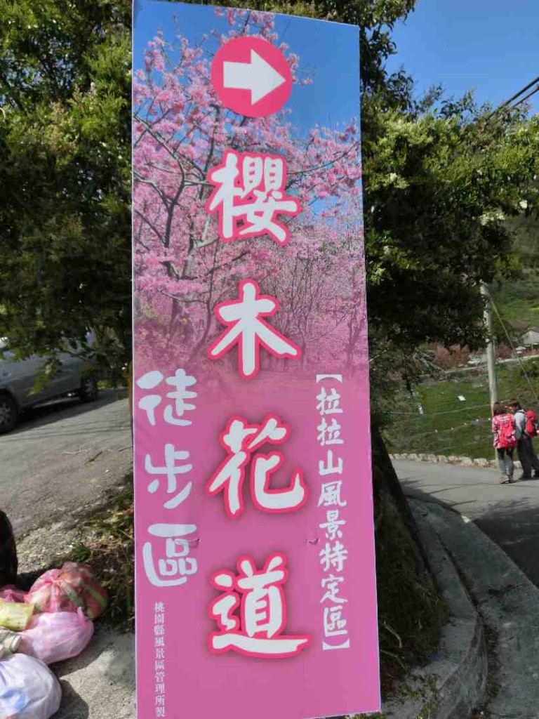 Translation " Cherry blossom garden"