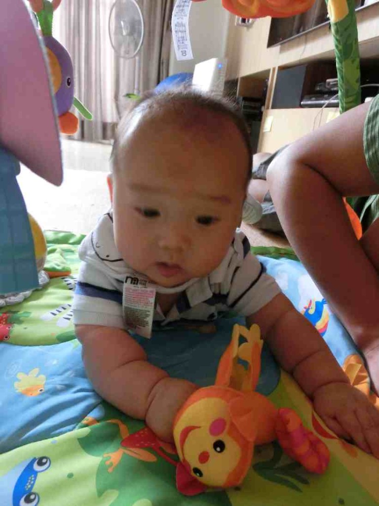 5 months 12-sm