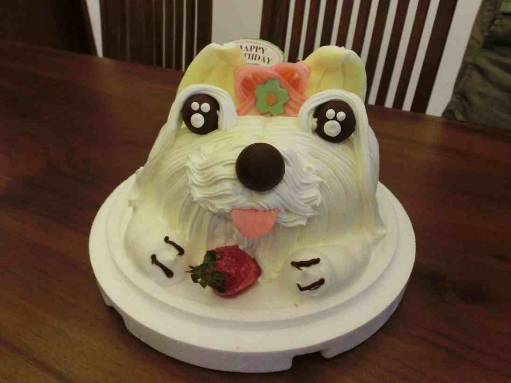 A specially made doggy cake that mom Hsieh ordered for me.  It is a dog because I was born in the year of dog (based on the Chinese lunar calendar)
