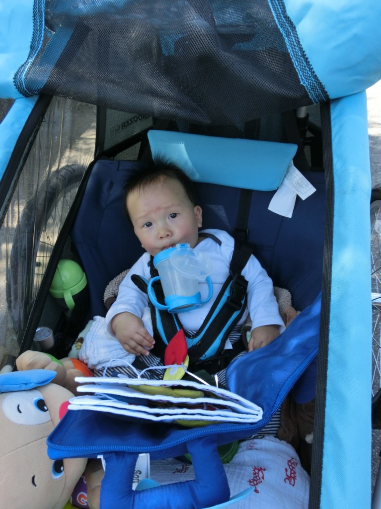 Ethan's travelling nest 